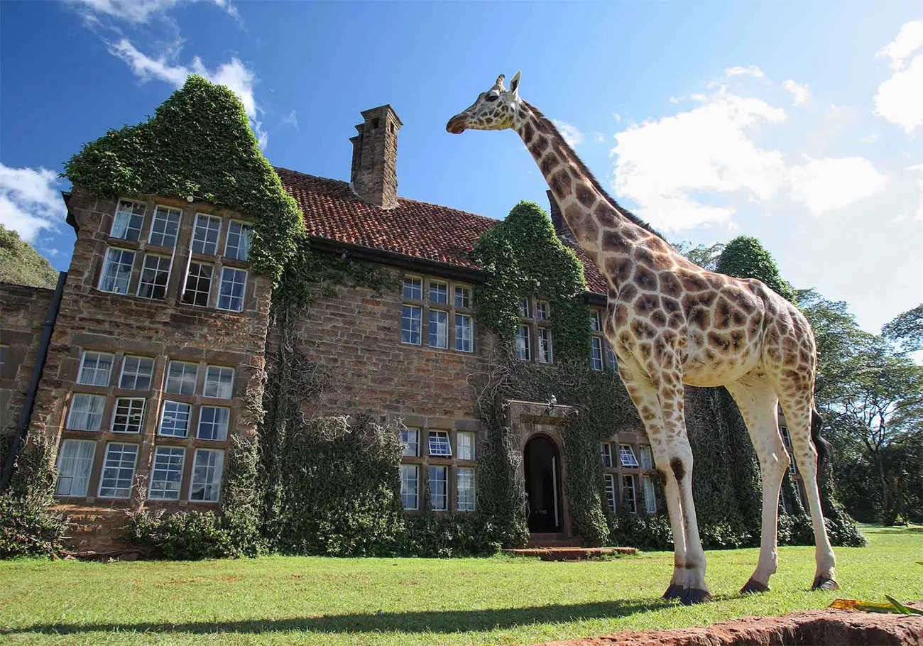 Deluxe Safari de Karibu Quênia
